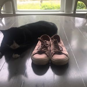 Superga Italian Shoes